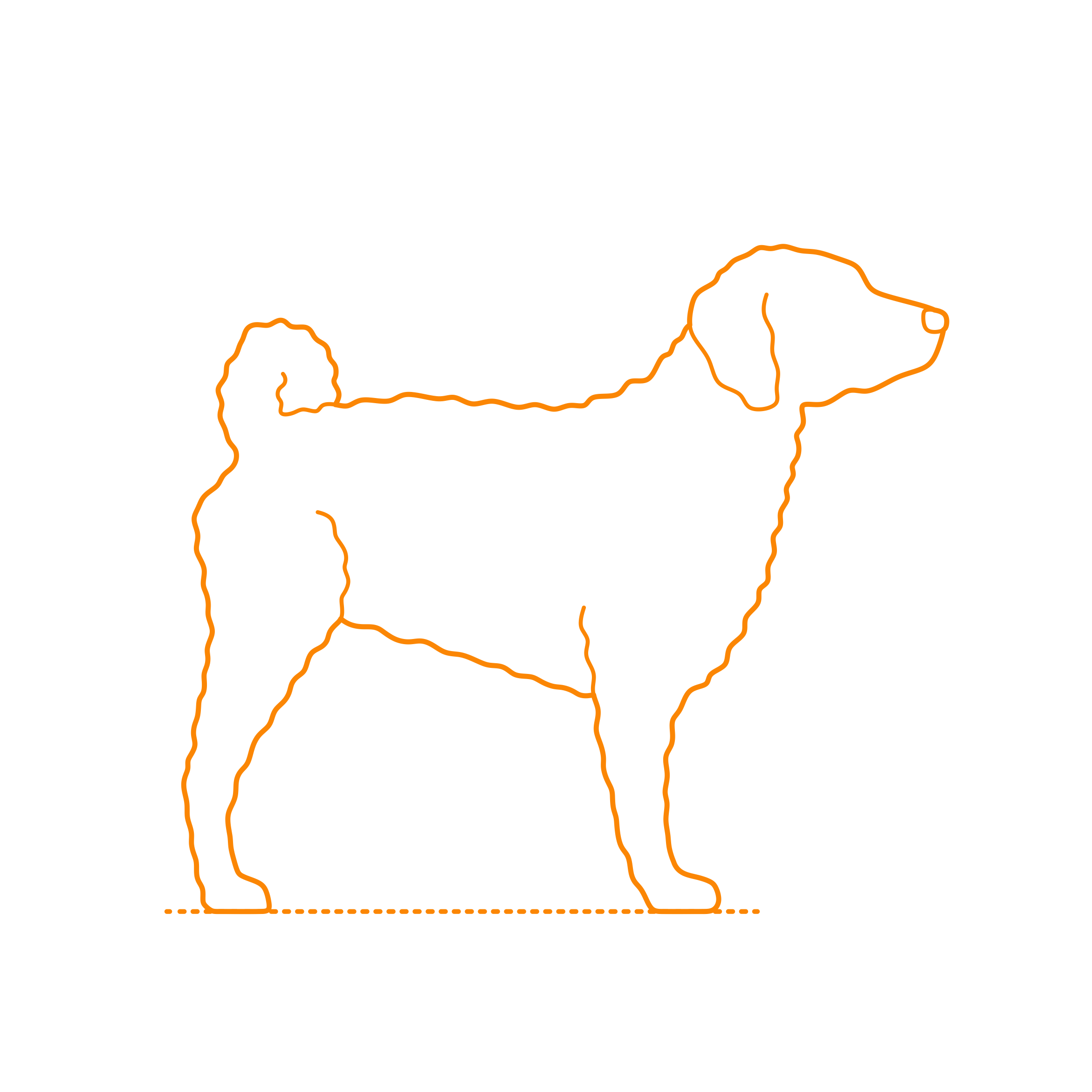 Animals Dogs Wetterhoun Outline Icon Svg Set Free Vectors